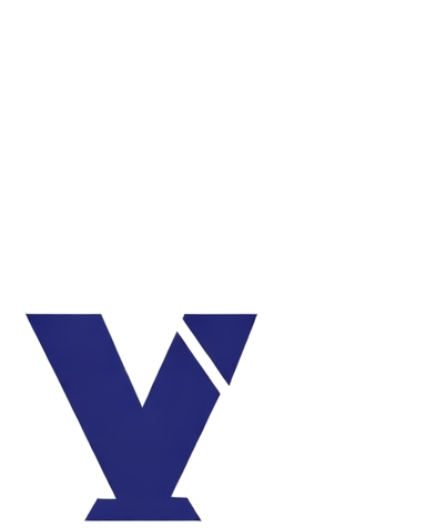 Vector Professionals